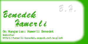 benedek hamerli business card